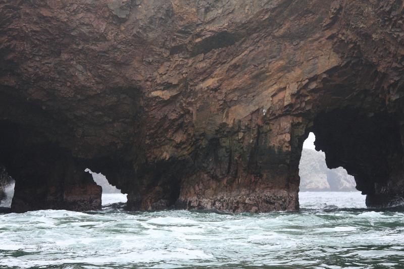 1153-Isole Ballestas,19 luglio 2013.JPG